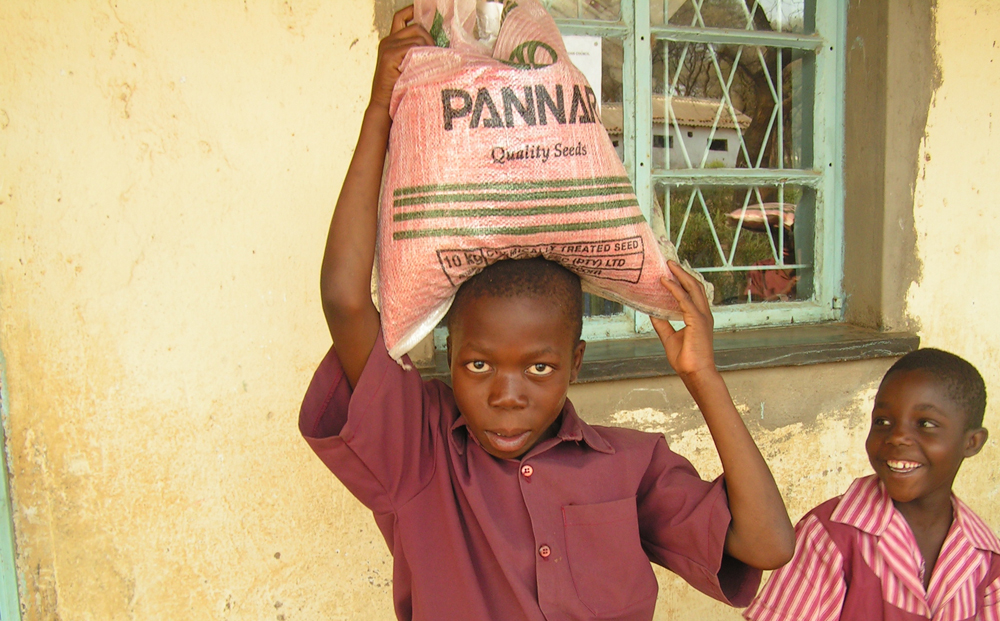 Zimbabwe Food Aid Helps Children Stay in School JRS USA